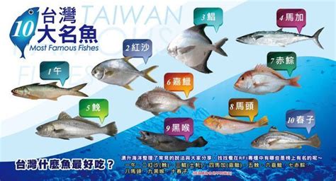 台灣魚排名